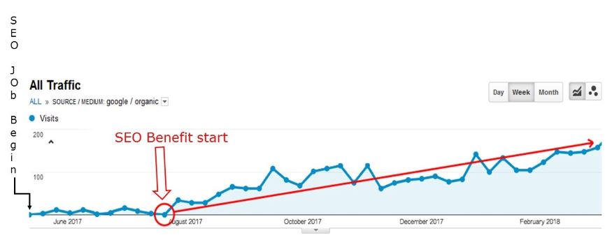 tempistica della SEO, da Google Analytics